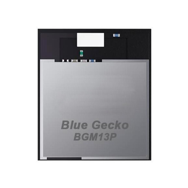 BGM13P22F512GA-V2